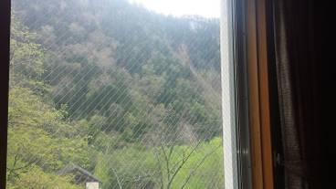 施設からの眺望 / 28