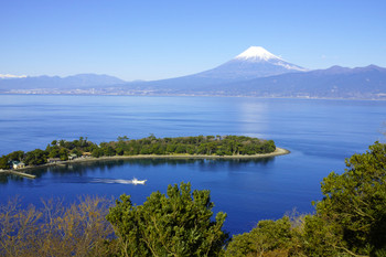 美しい自然と山海の幸。魅力いっぱいの静岡県「伊豆半島」3944812