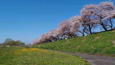 施設からの眺望 / 27