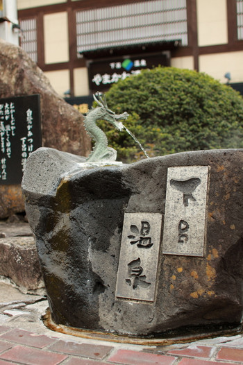 情緒あふれる下呂温泉846424