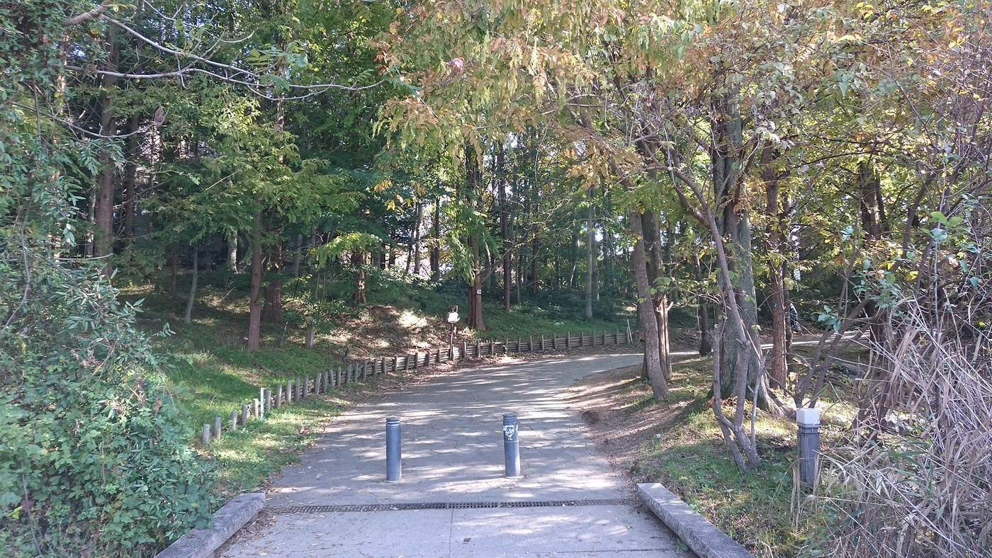 琵琶湖周辺の大自然を堪能できる「琵琶湖博物館」907955
