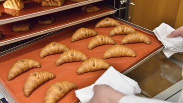 朝食ビュッフェ / 1