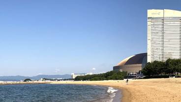 観光スポット / 8