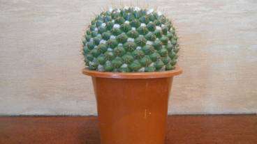 施設内の設備 / 36