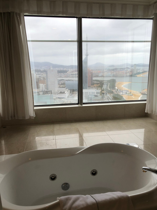 nontanmm18さんの写真 / 1