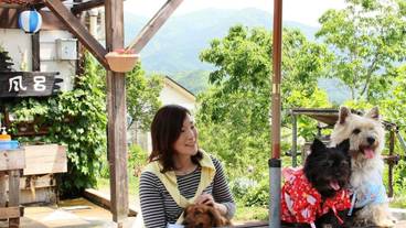 ペット同伴可 / 27