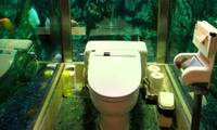 何だこのトイレは！？水族館トイレで話題のカフェ「ヒポポパパ」