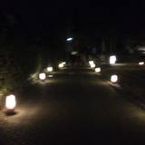 京都 嵐山花灯路（キョウト・アラシヤマハナトウロ）