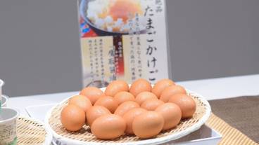 朝食ビュッフェ / 25