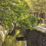 京都「哲学の道」をお散歩しよう！散策のおすすめスポット♪