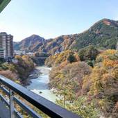 伊東園ホテルニューさくら（栃木県 旅館） / 3