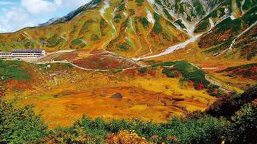 観光スポット / 24