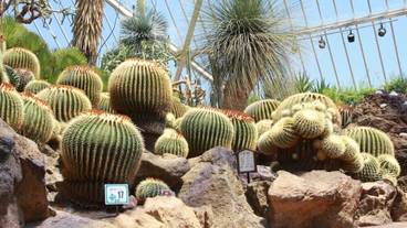 観光スポット / 4