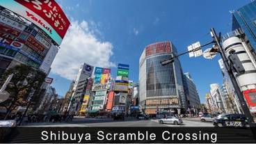 シティ ビュー / 22