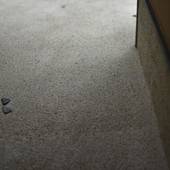 鈴 プレミアム 光輝（京都府 町家） / 5