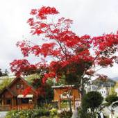 湖々路の郷（北海道 コテージ・ロッジ・一棟貸） / 3