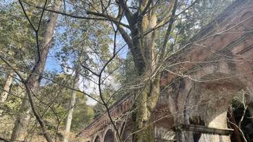 ランド ビュー / 35