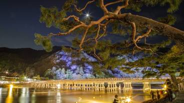 マウンテン ビュー / 10