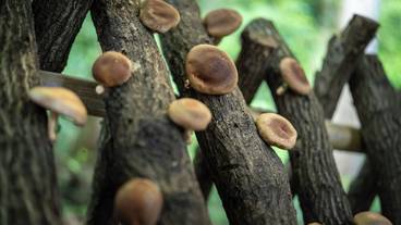 施設内の設備 / 2