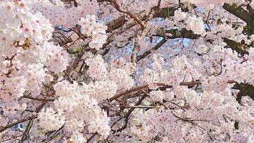 観光スポット / 6