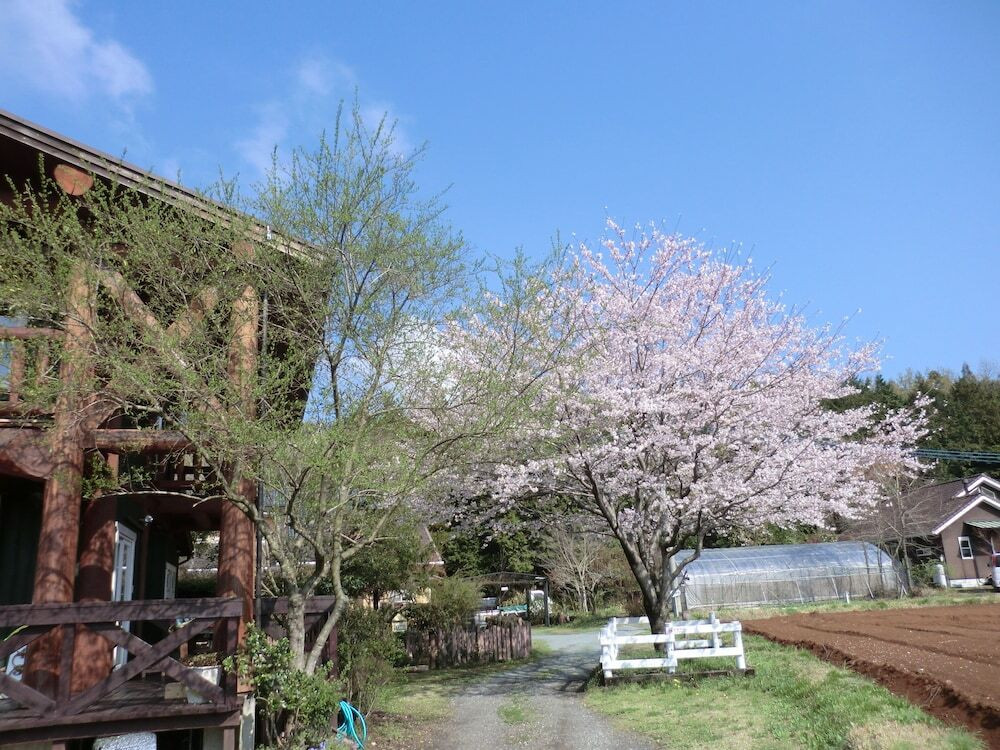 中庭