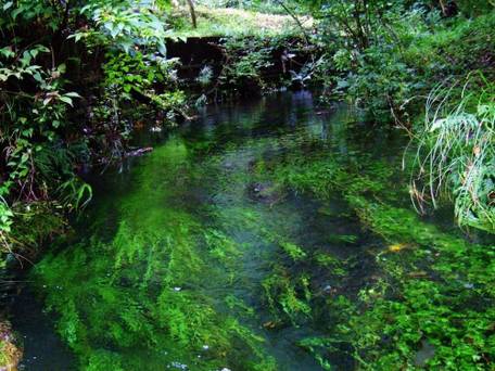 はなれの宿 千の森 / 4