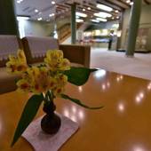 赤穂温泉 料理旅館 呑海楼（兵庫県 旅館） / 2