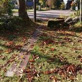 陶芸の宿 エペレ(新潟県 旅館) / 2