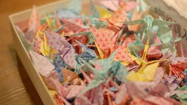 内装の詳細 / 13