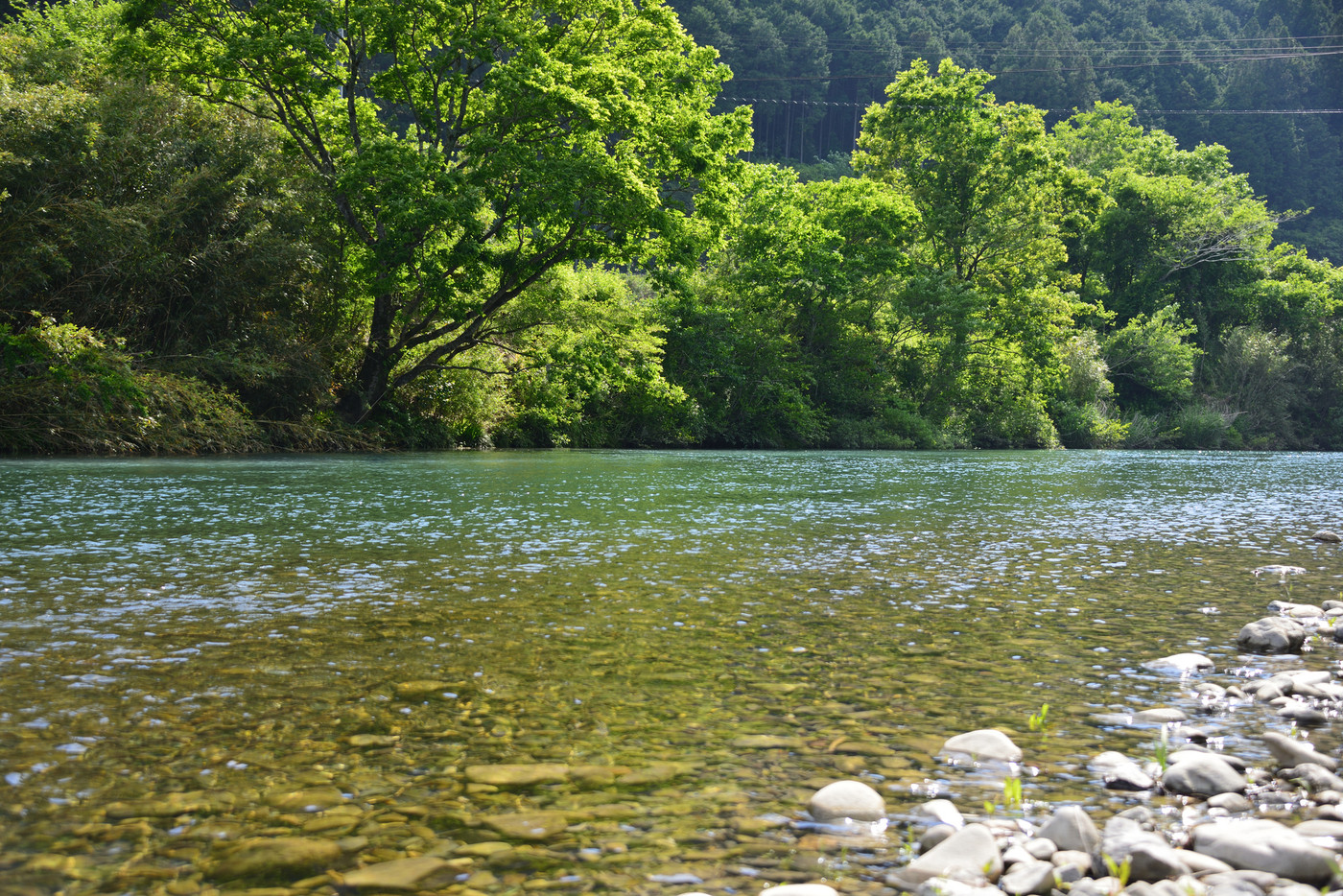 初夏の四万十川上流域