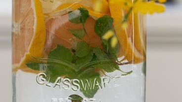 客室の設備とサービス / 37