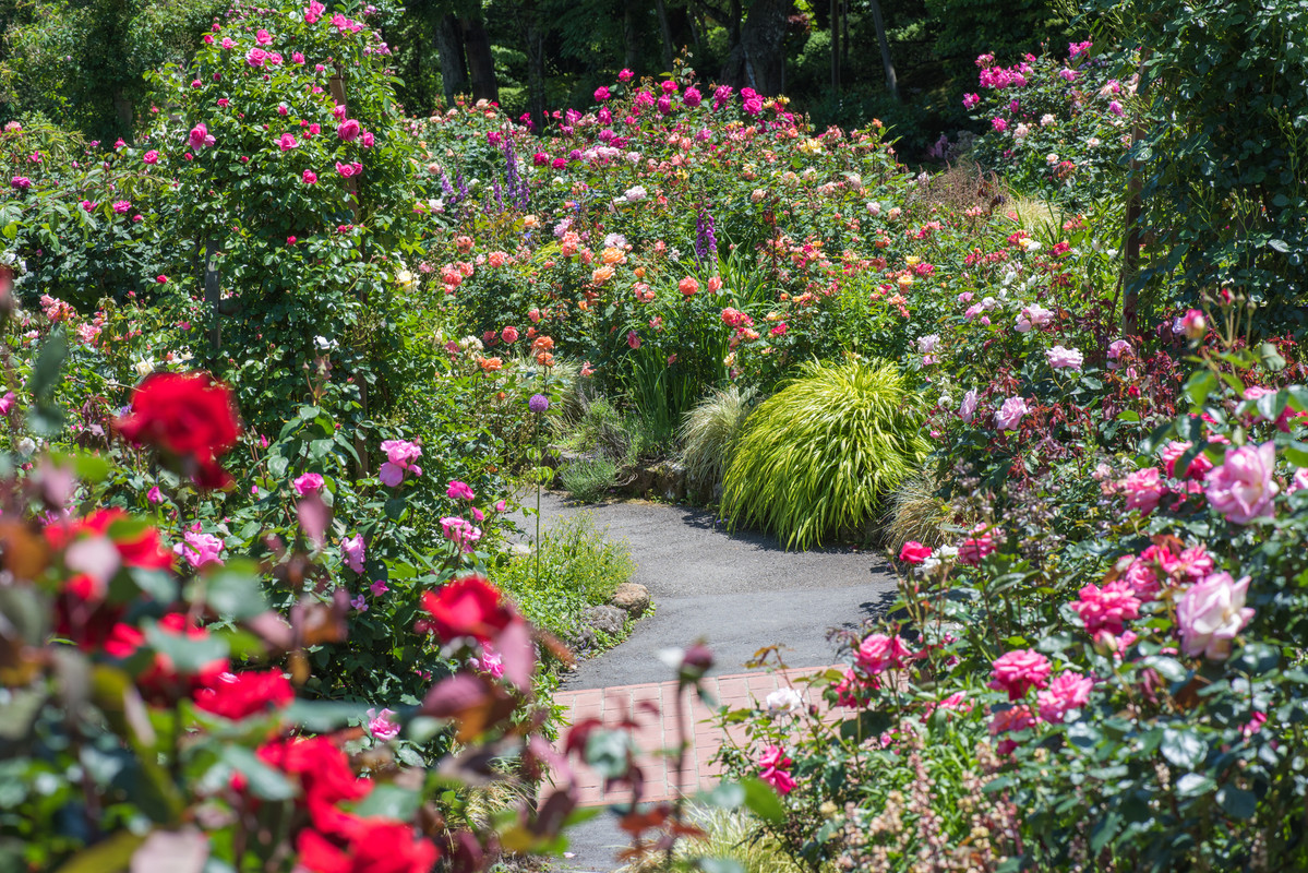 箱根 強羅 月の泉（ハコネ ゴウラ ツキノイズミ） / 2