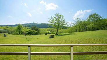 ランド ビュー / 27