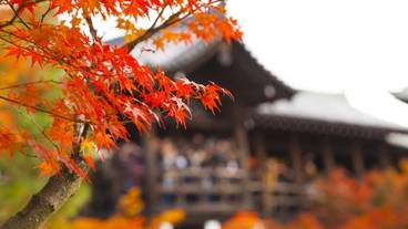 観光スポット / 7