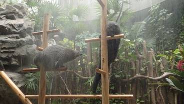 観光スポット / 11