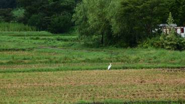 施設からの眺望 / 23