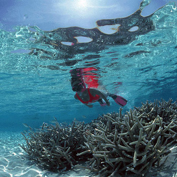 全室オーシャンビュー！お部屋から水着でビーチへ行ける3654335