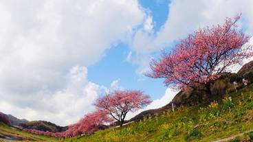 施設の敷地 / 16