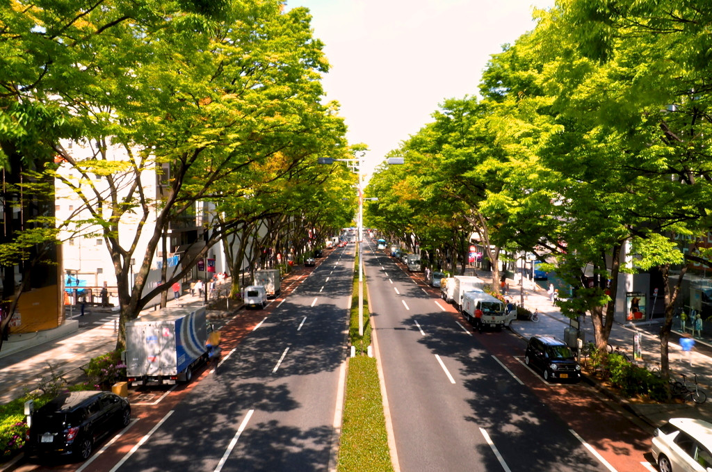 9.原宿・表参道2028000