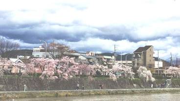 シティ ビュー / 6