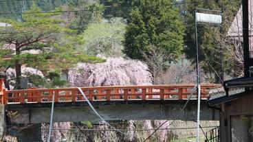 施設からの眺望 / 12