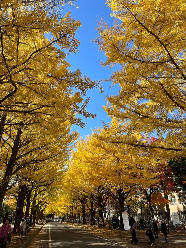 theomomoeddyさんの写真 / 1