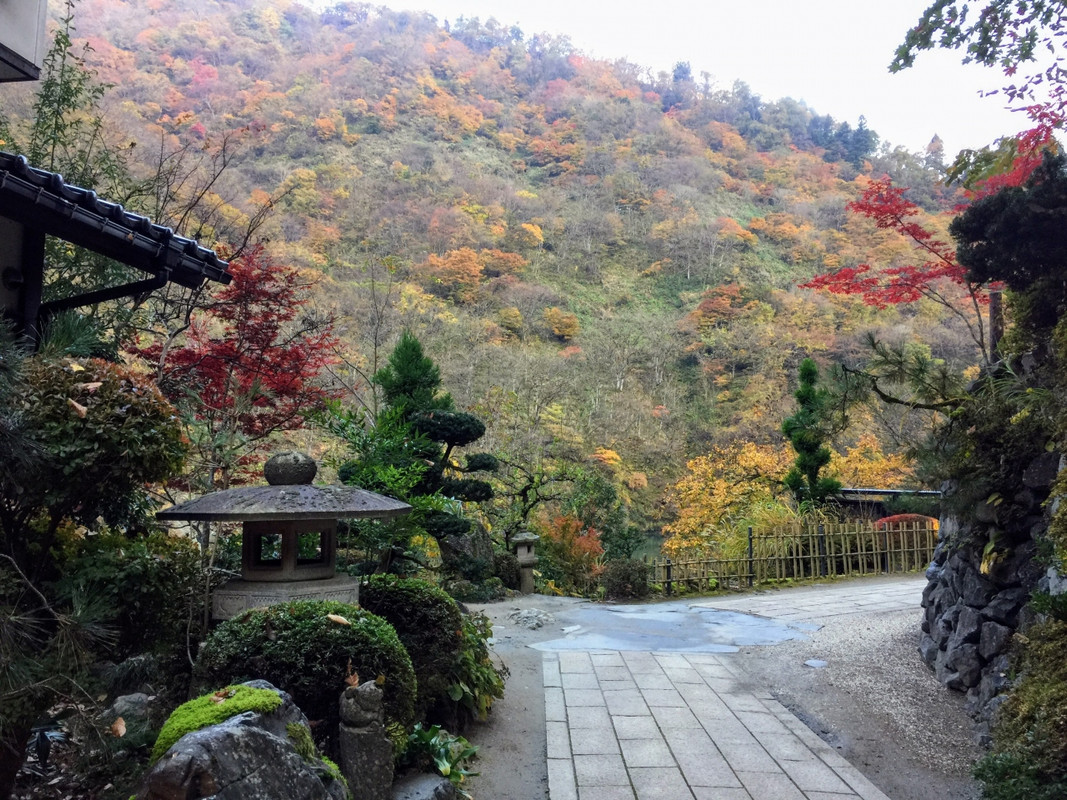 玄関周辺の景色