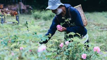 ハンティング / 1