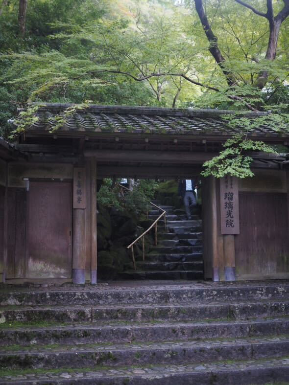 mikip__22さんの写真 / 5