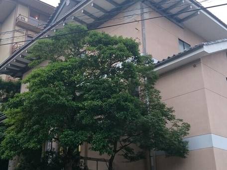 宮島ホテルまこと / 5