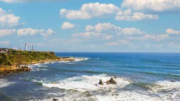 ビーチ / オーシャン ビュー / 15