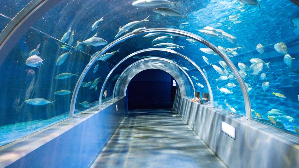 お城のような水族館
海の生き物に癒される / 1