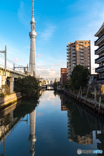 枕橋985113