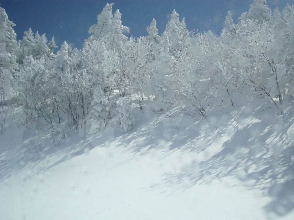 スノー スポーツとスキー